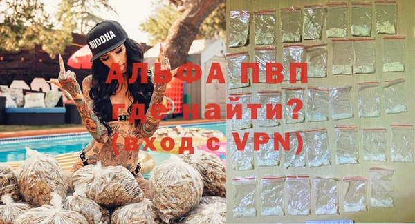 крисы Баксан