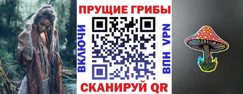 Галлюциногенные грибы Psilocybe  Купить закладки  Южно-Сухокумск 
